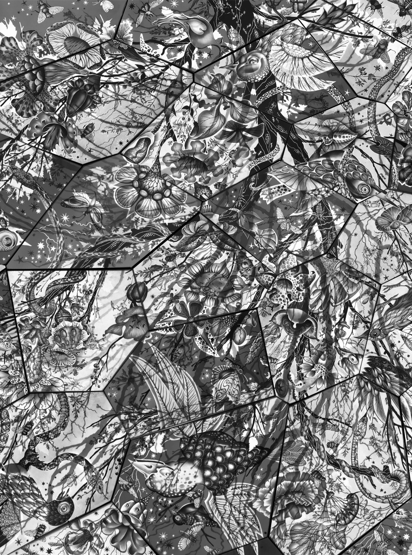 Teleporter Magazine Issue 1 Cover